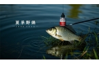 夏季野釣鯽魚(yú)有啥秘訣？答案驚人！