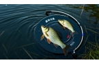 想在夏季野釣鯽魚(yú)大豐收？不看這些技巧就虧