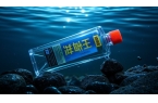 穿透王效果非常好，真能在各種水域聚魚快留